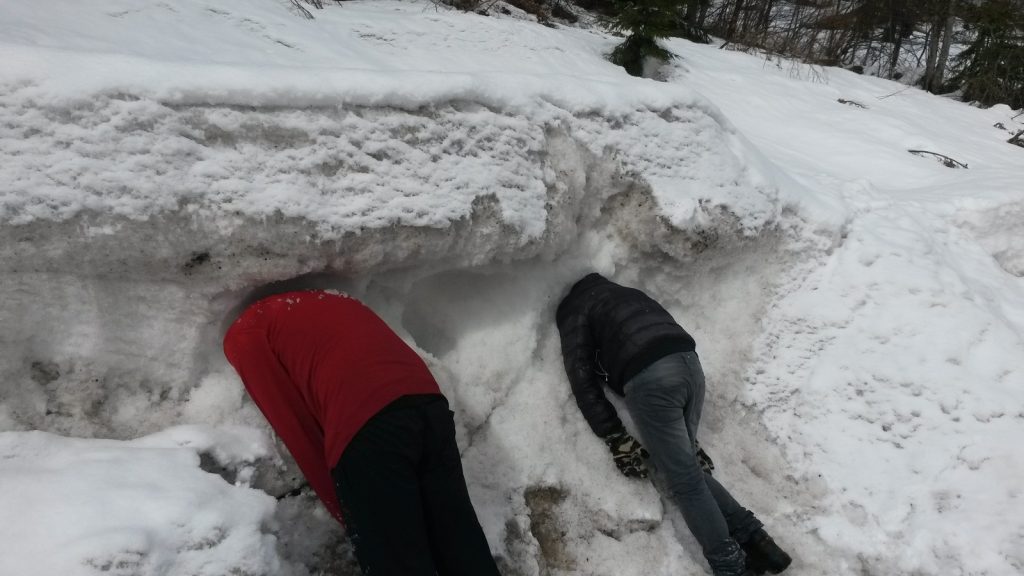 ob_9b4ab8_20150304-124700-jpg